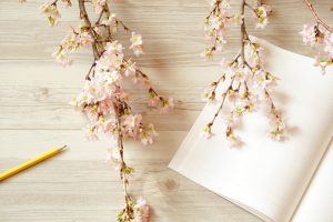 【時期別リスト】春の季語一覧！いつ使う？俳句や手紙での正しい意味・使い方